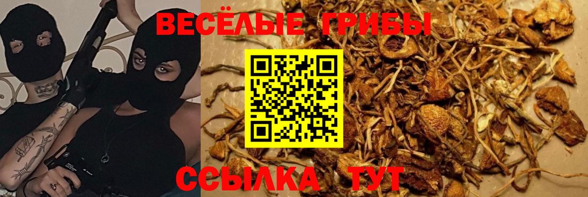 Галлюциногенные грибы мицелий  Вход с VPN  магазин  наркотиков  Карталы 